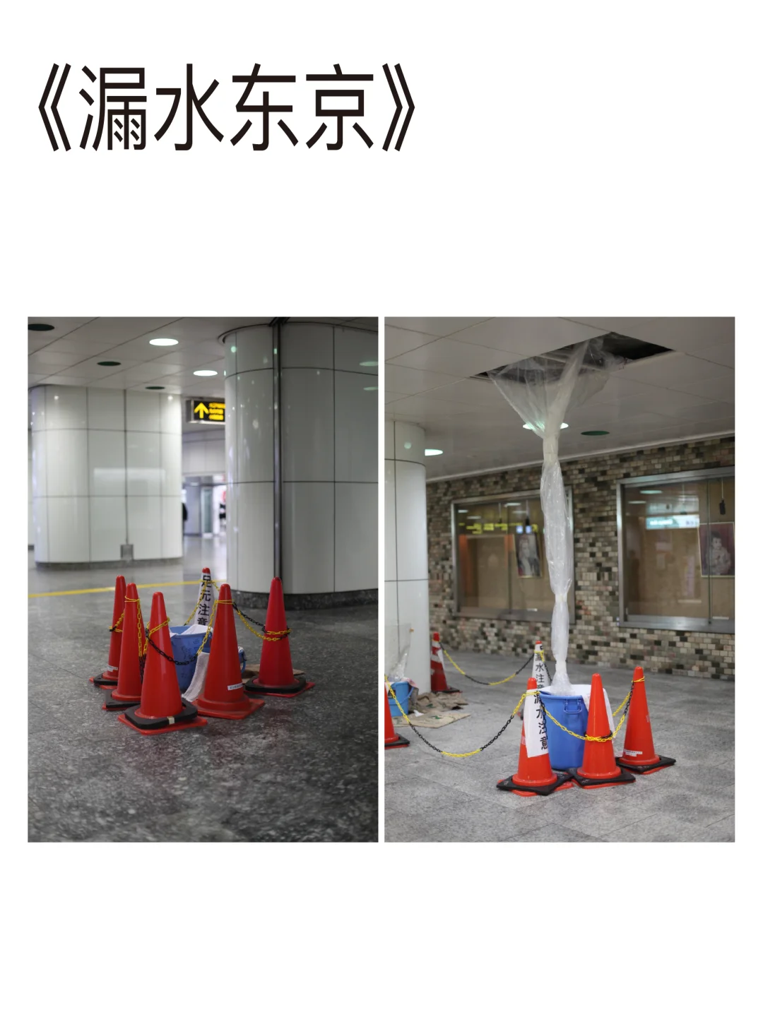 毛利悠子｜?Moré Moré Tokyo