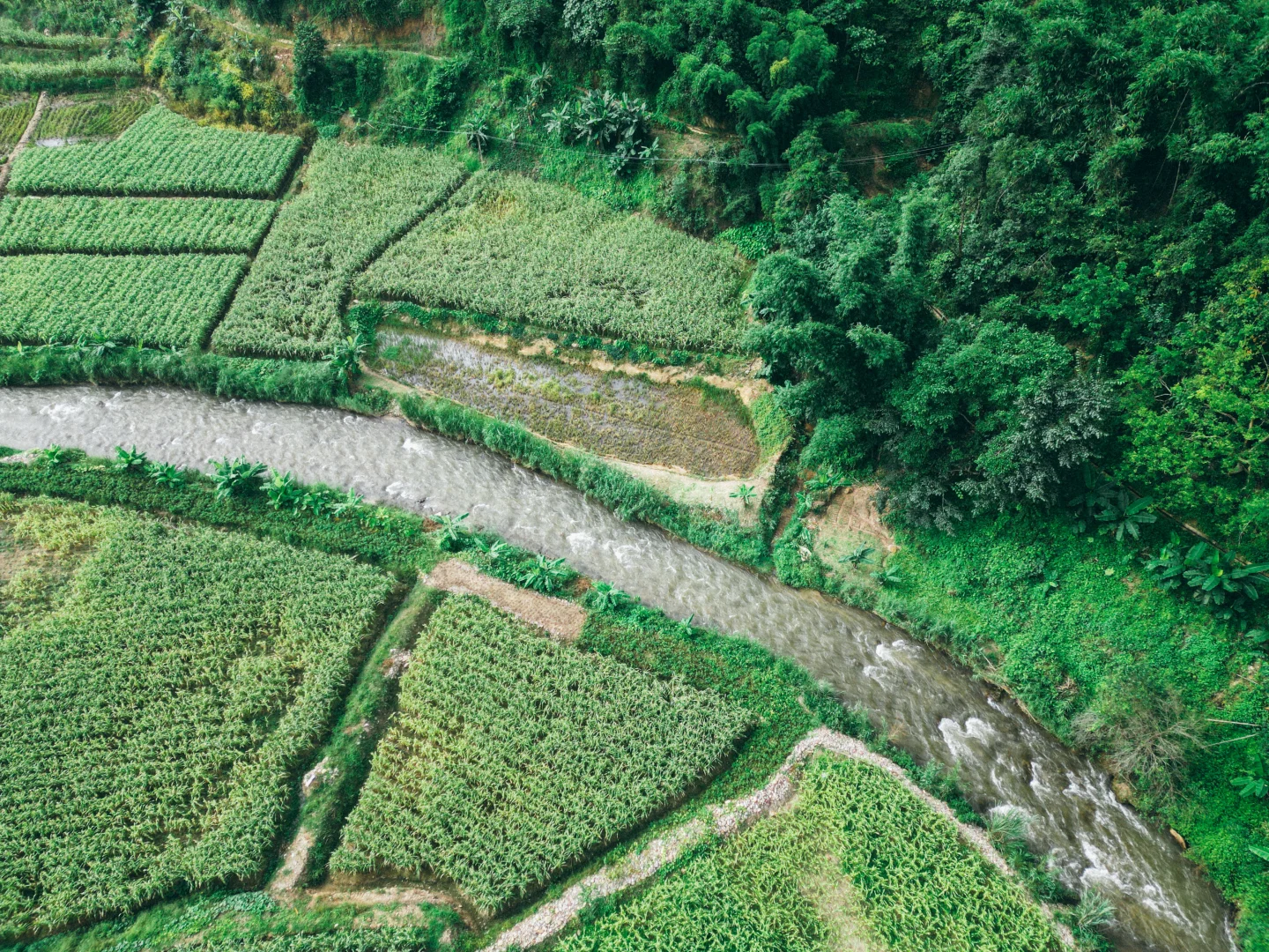 90后二胎宝妈，宁愿种玉米也不打工