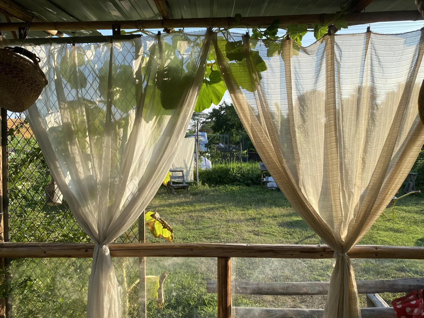 29岁，在广州拥有一个小而美的农场??‍?