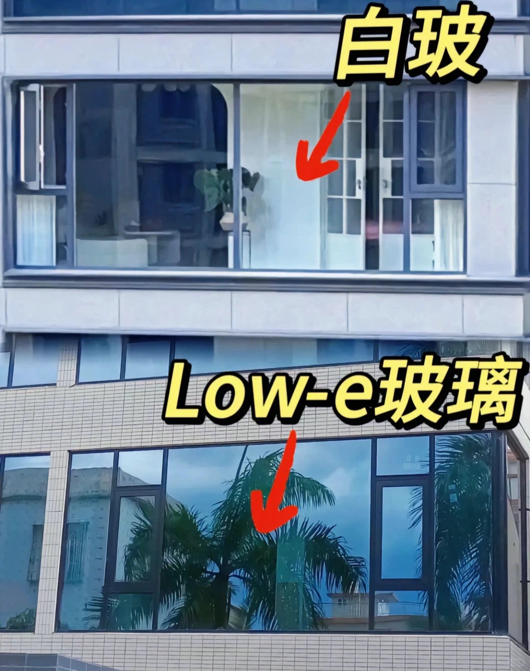 lowe玻璃这样看你就知道区别在哪里了