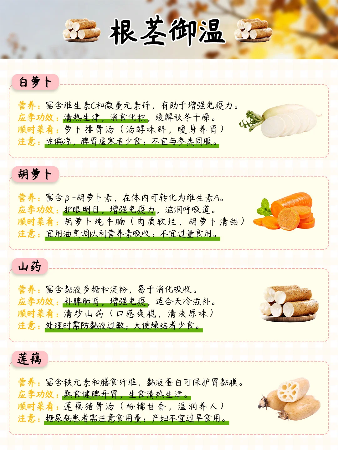 11月吃什么蔬菜？顺时养生?暖身应季菜TOP16