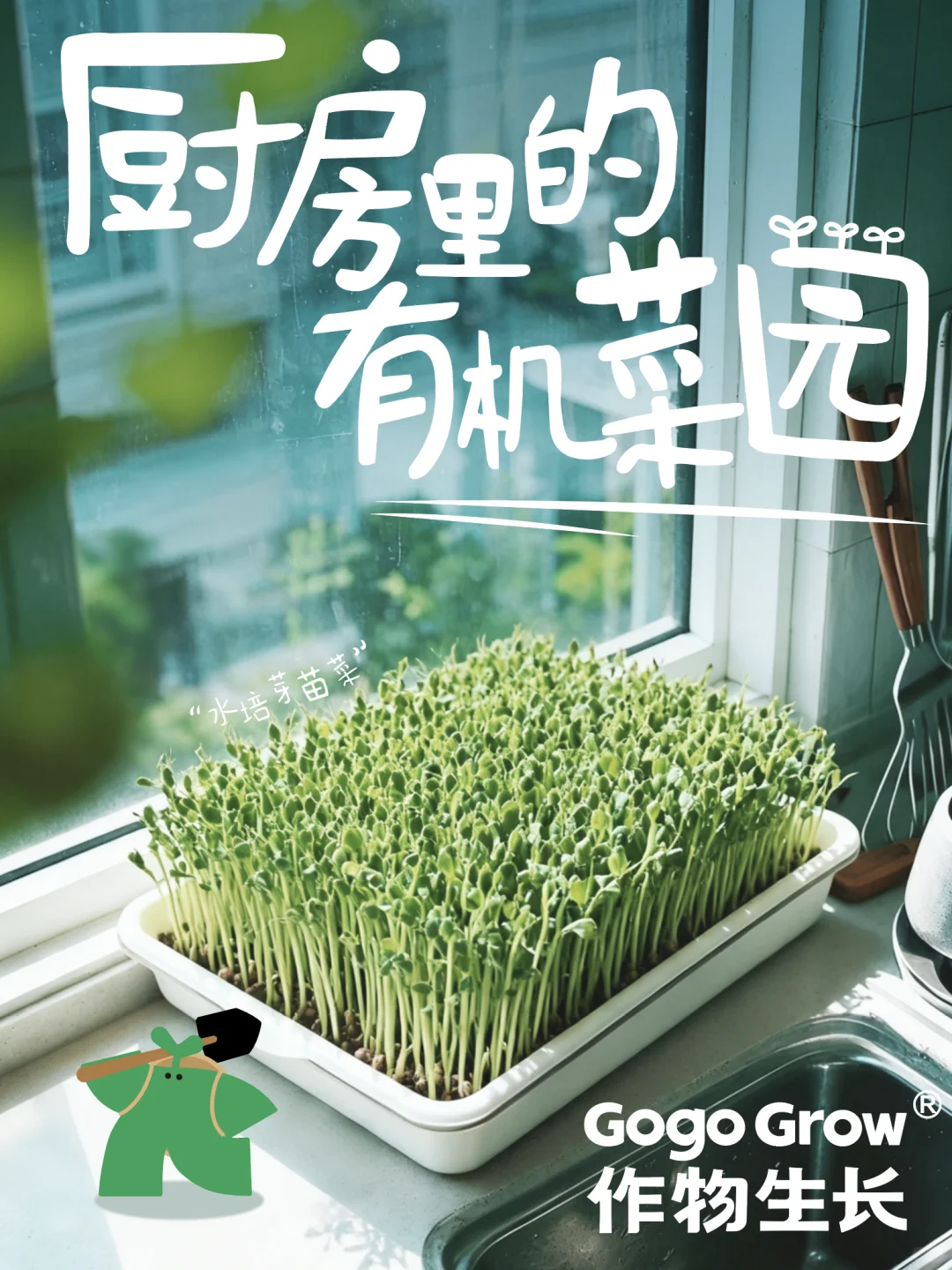 种菜？我连土都不用！