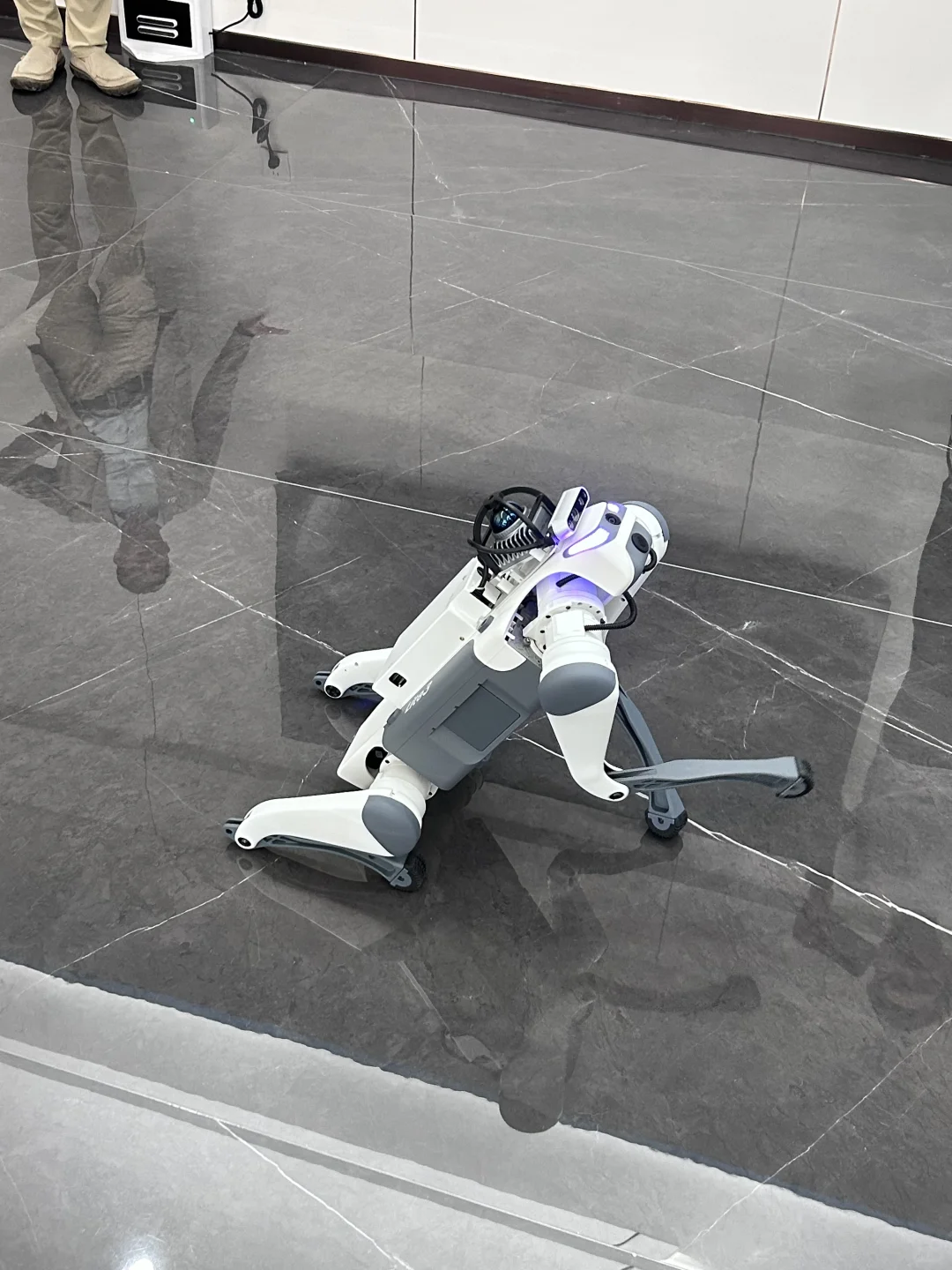 “未来已来”：广西的科技感十足