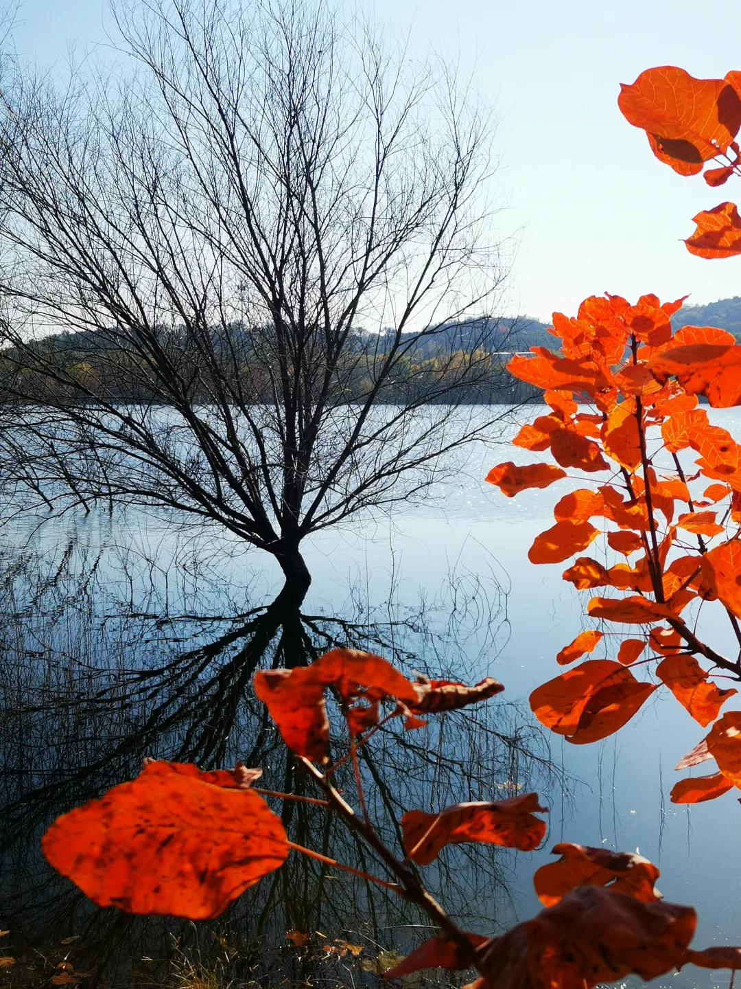 北京市西郊雨洪调蓄工程