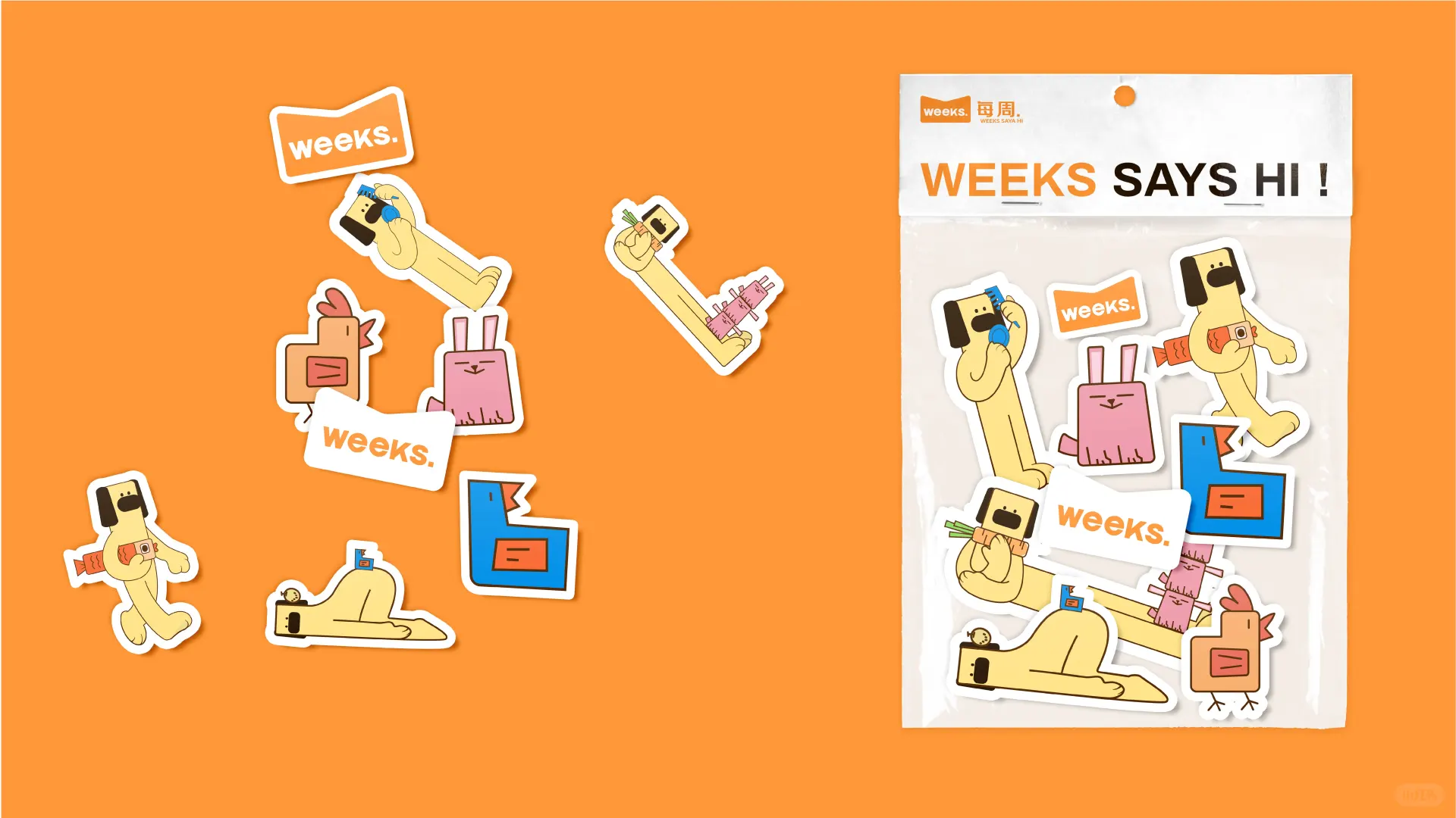 宠物品牌设计提案/每周.狗狗食品店?