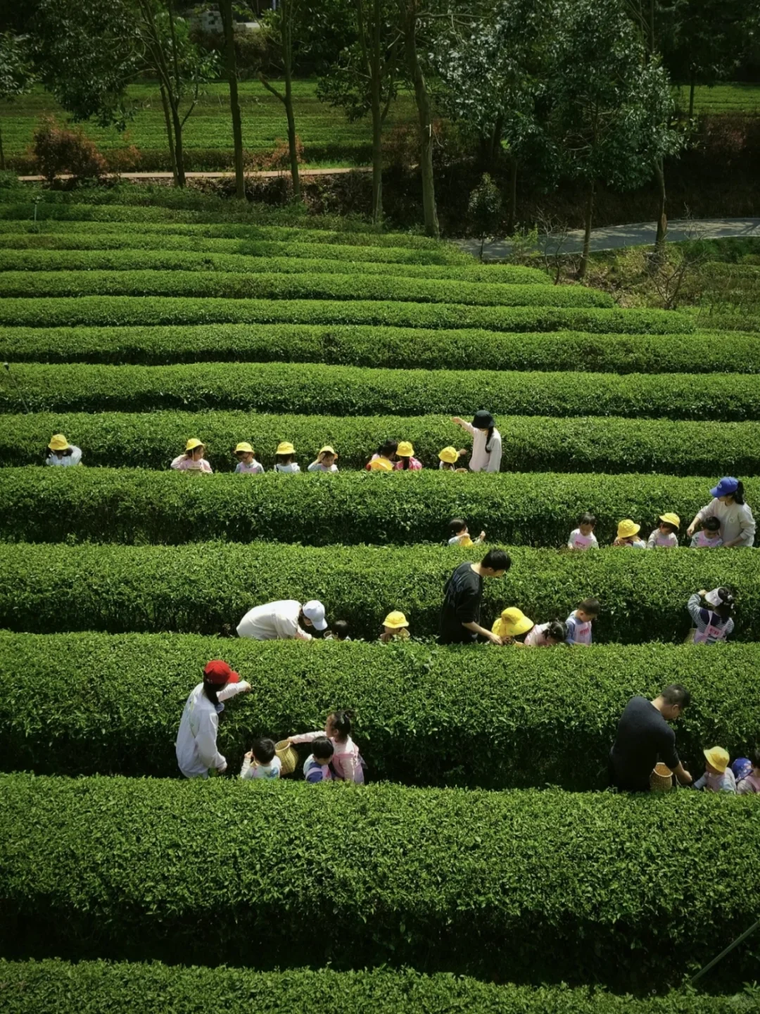 文旅＋研学 乡村振兴新模式