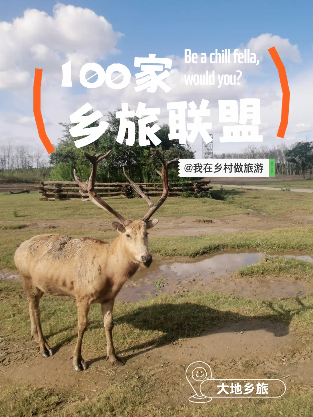 我在乡村做旅游