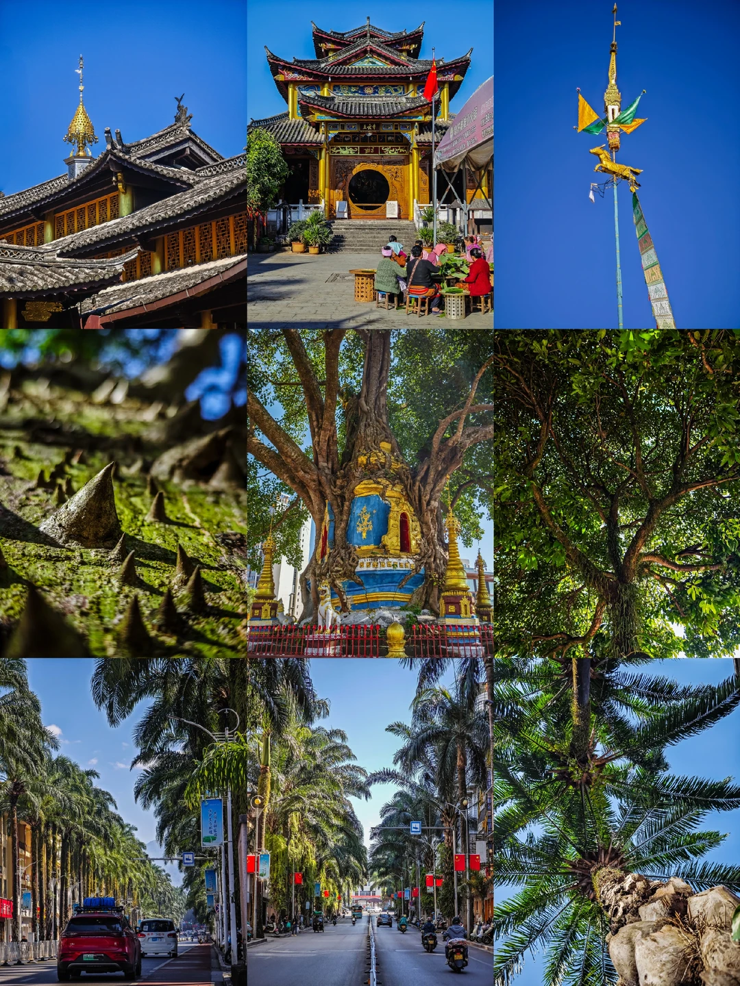 云南之行复盘｜芒市-瑞丽-腾冲路线