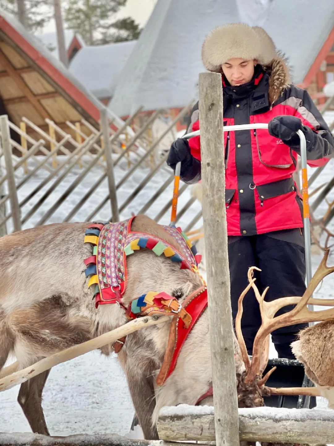 北欧追光：帝王蟹+玻璃屋，一价全含！