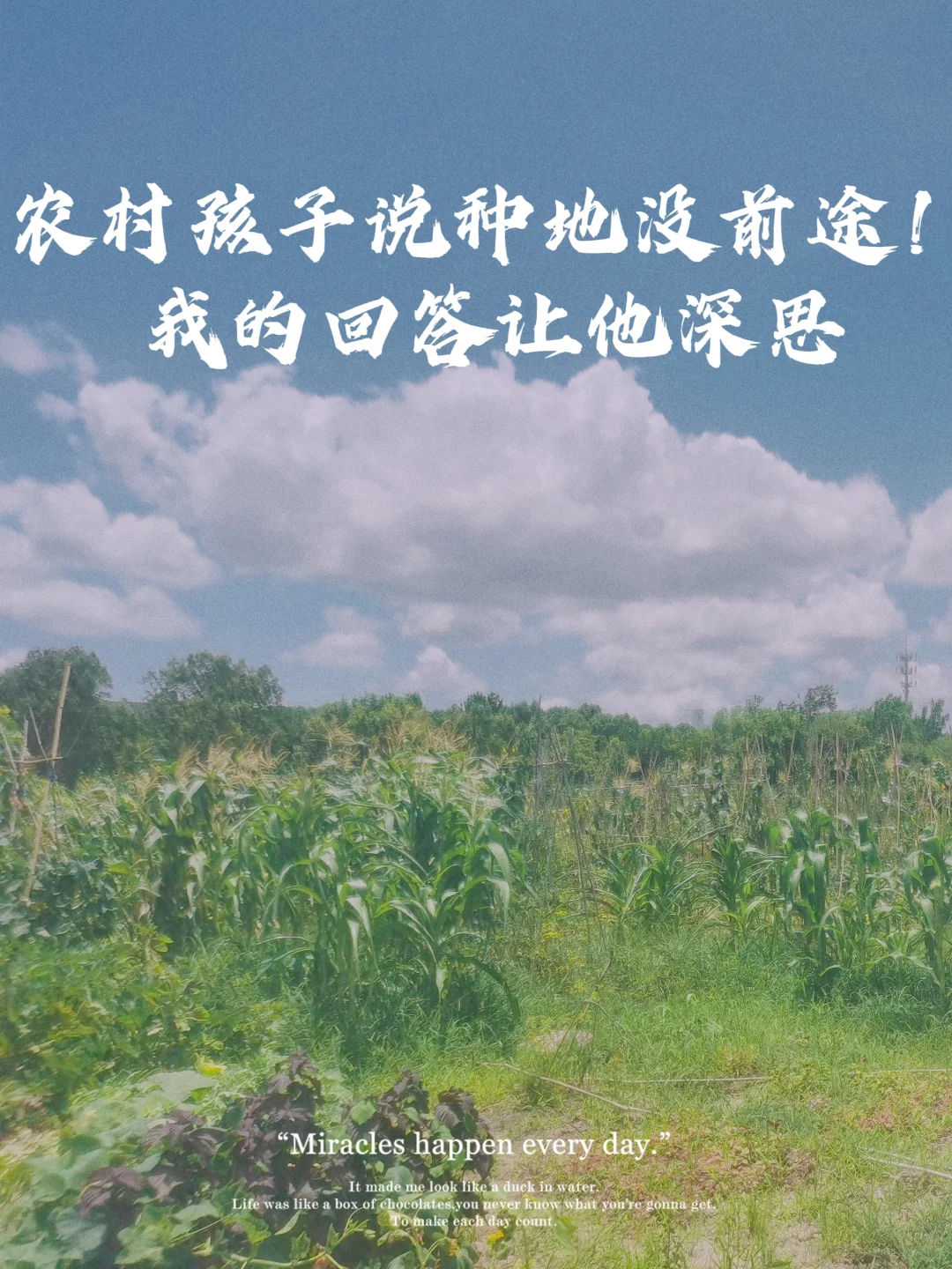 农村孩子说种地没前途！我的回答让他深思