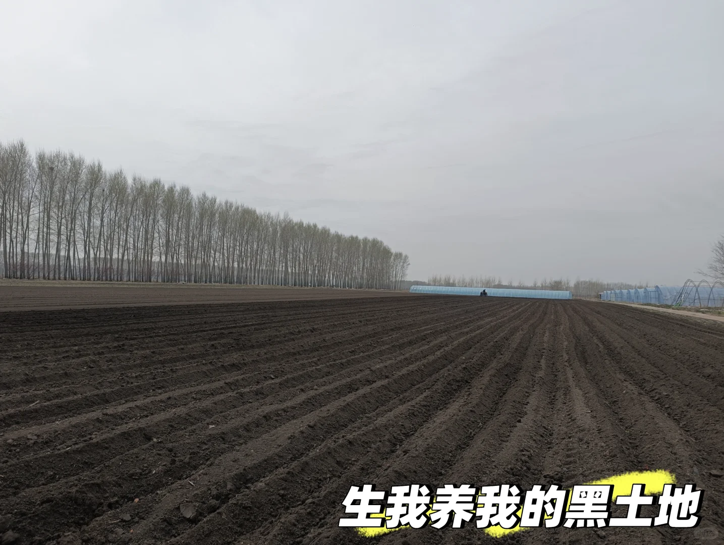 00后男大逃离江浙沪决定振兴东北回村种田？