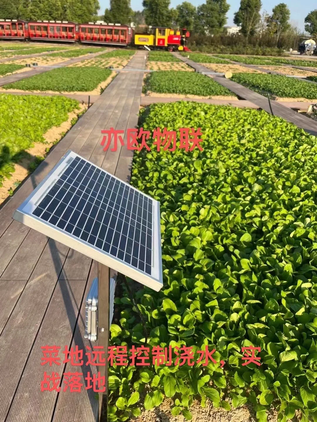 ?2023年做什么项目？新农人创业物联网