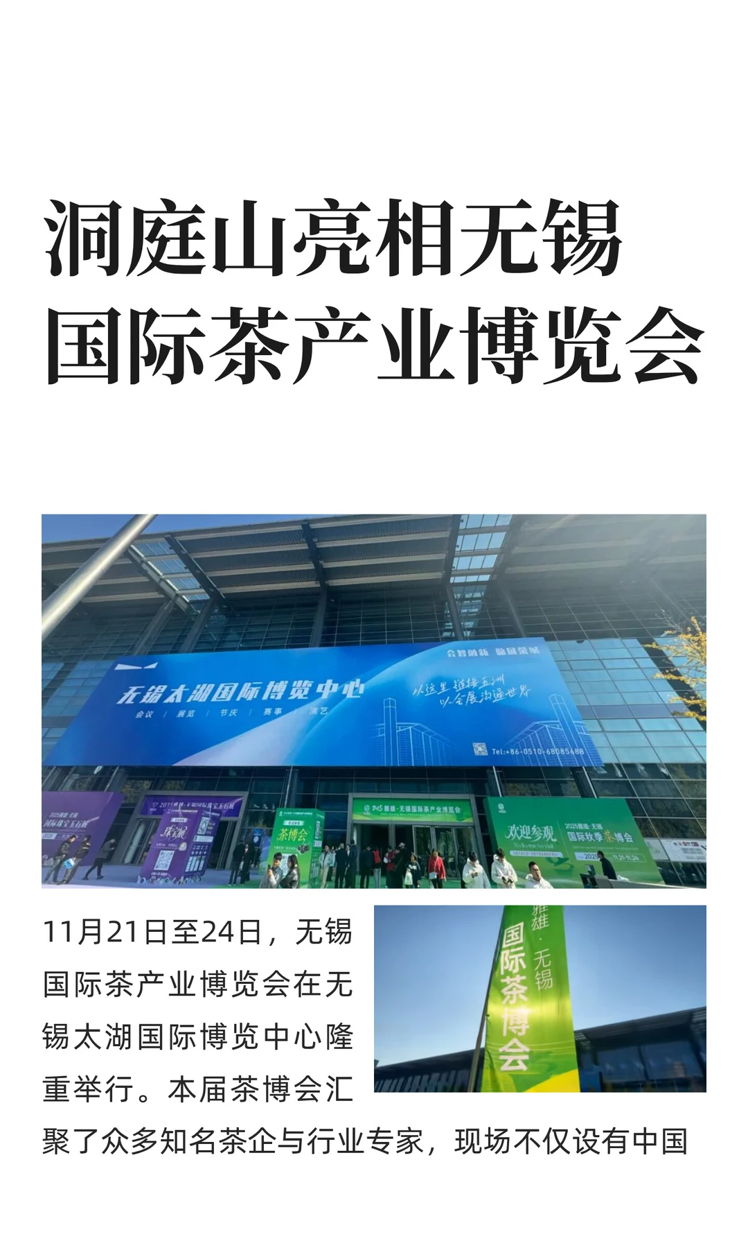 洞庭山亮相无锡国际茶产业博览会