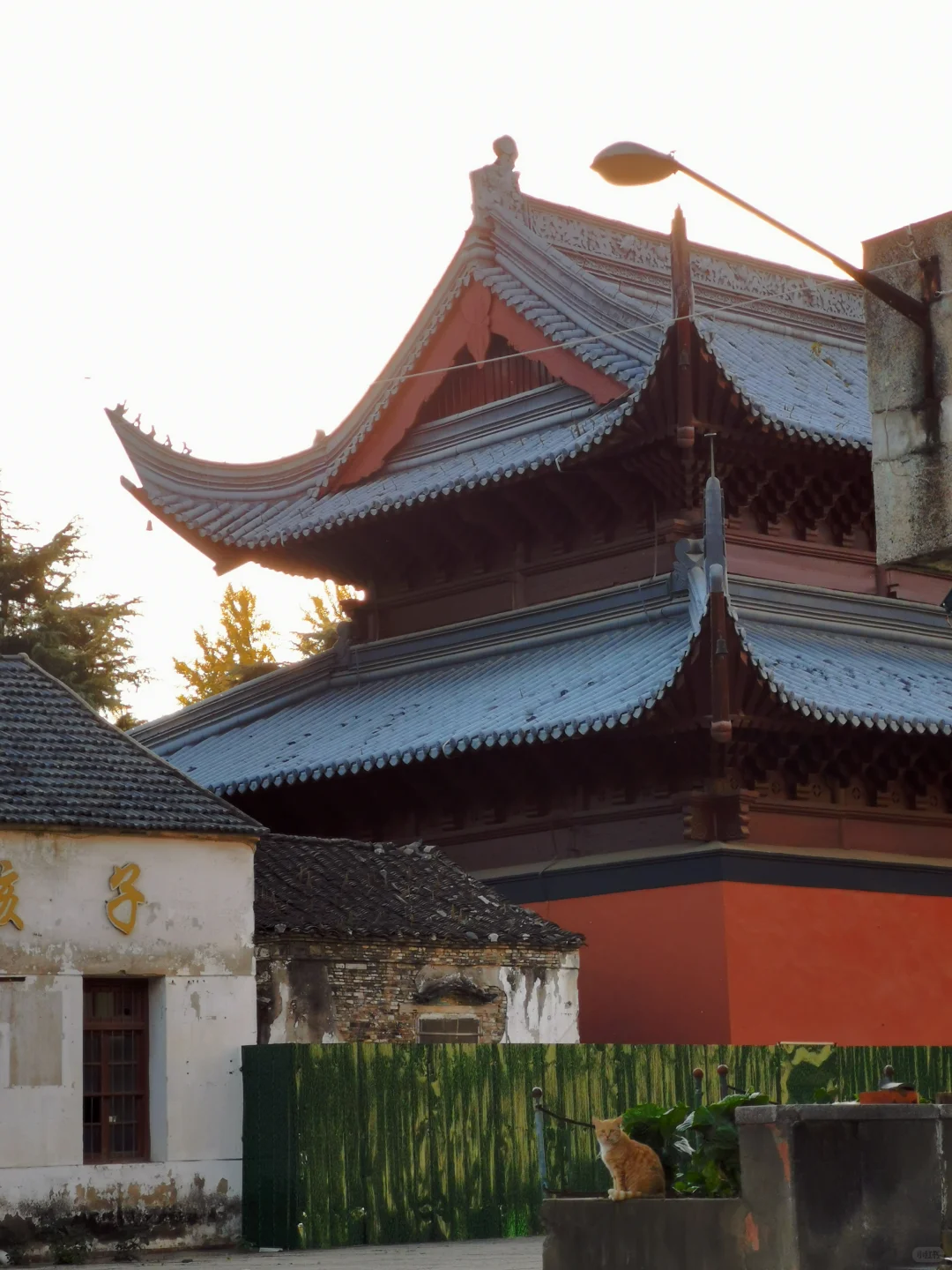 活动预告｜周六一起，看两千年的六（Lù）合