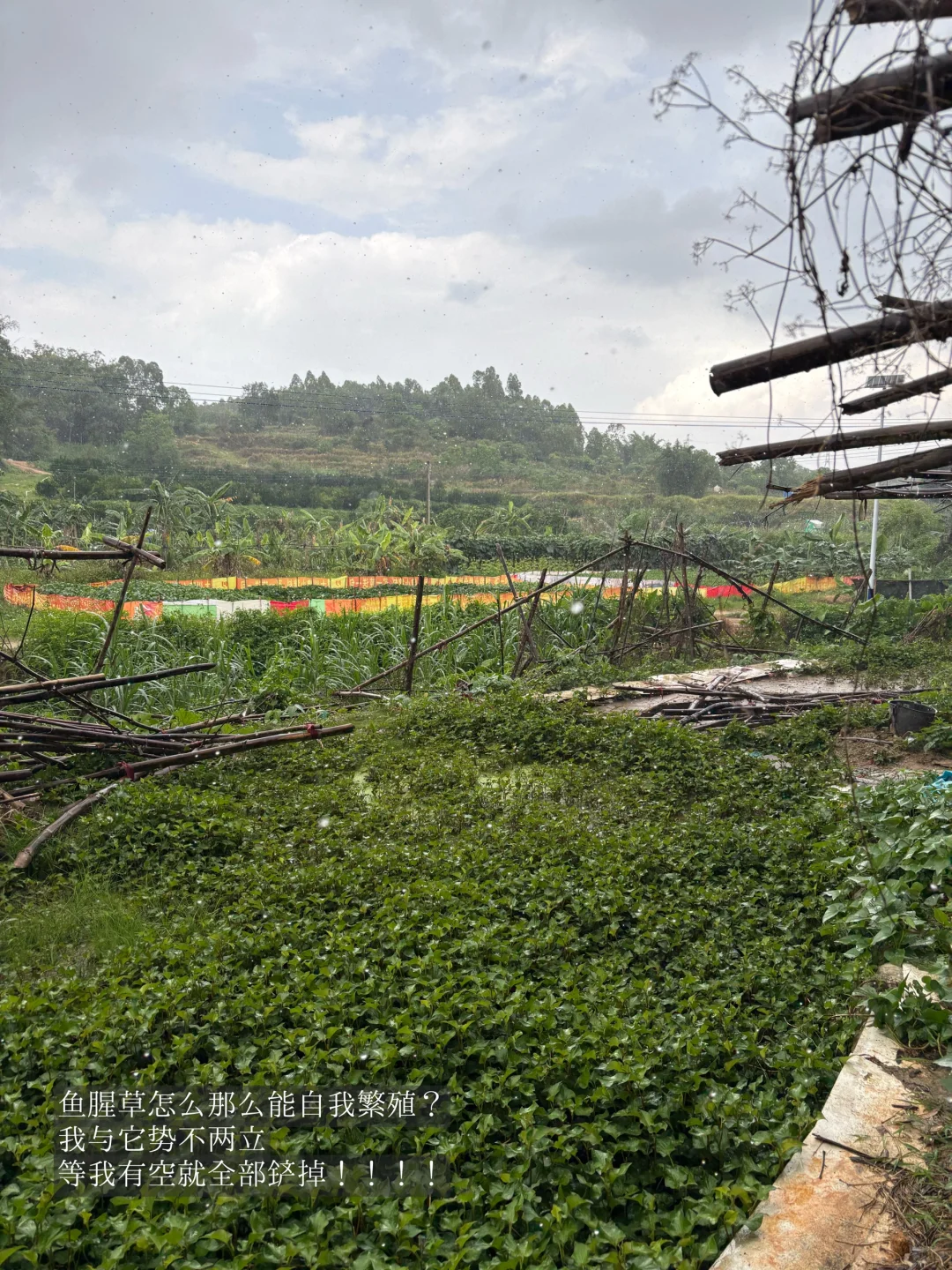 28岁在农村成为一名农场主是怎么样的体验?