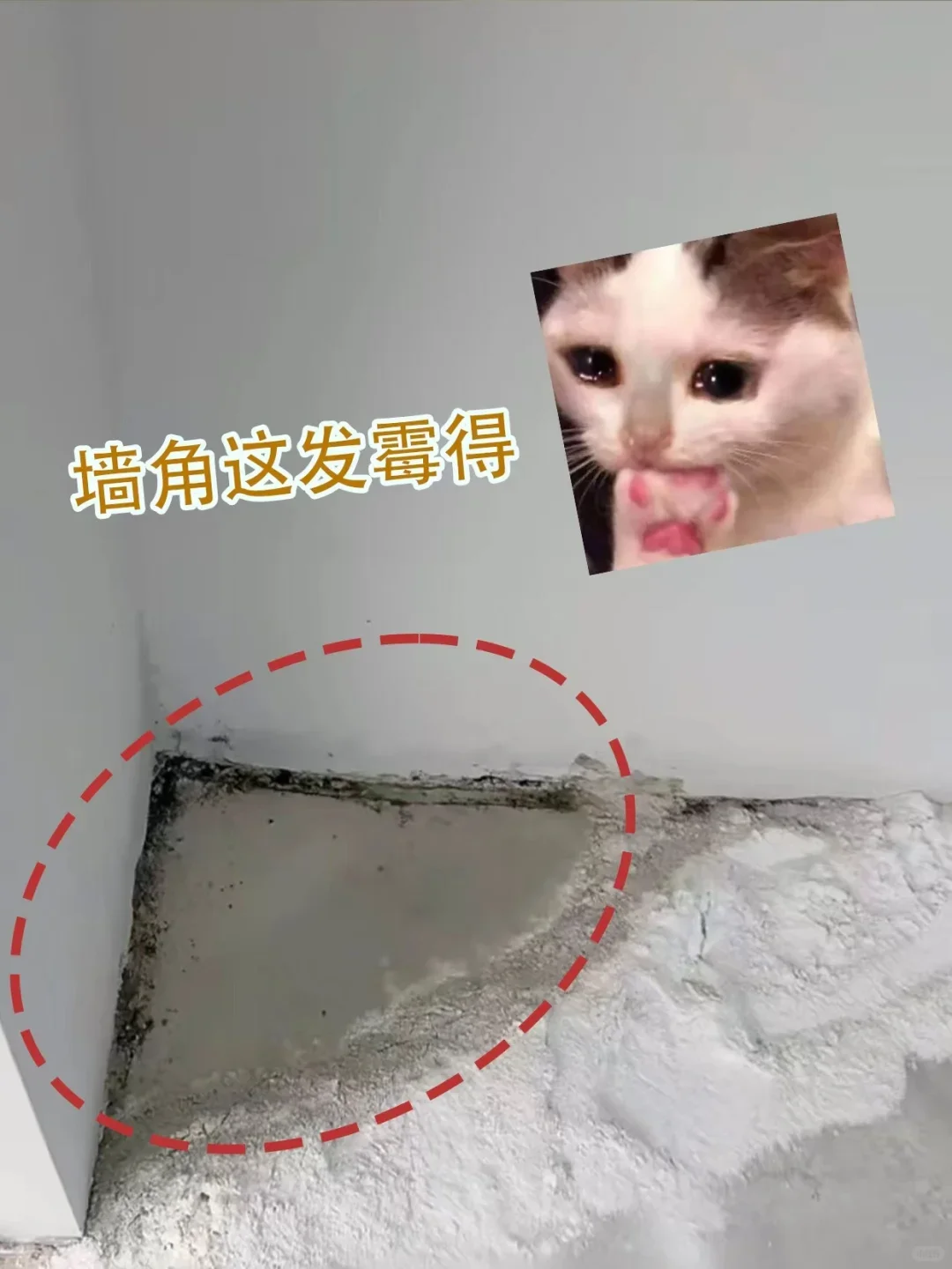 爽翻❗️在重庆笑我地下室漏水到人都闭嘴了