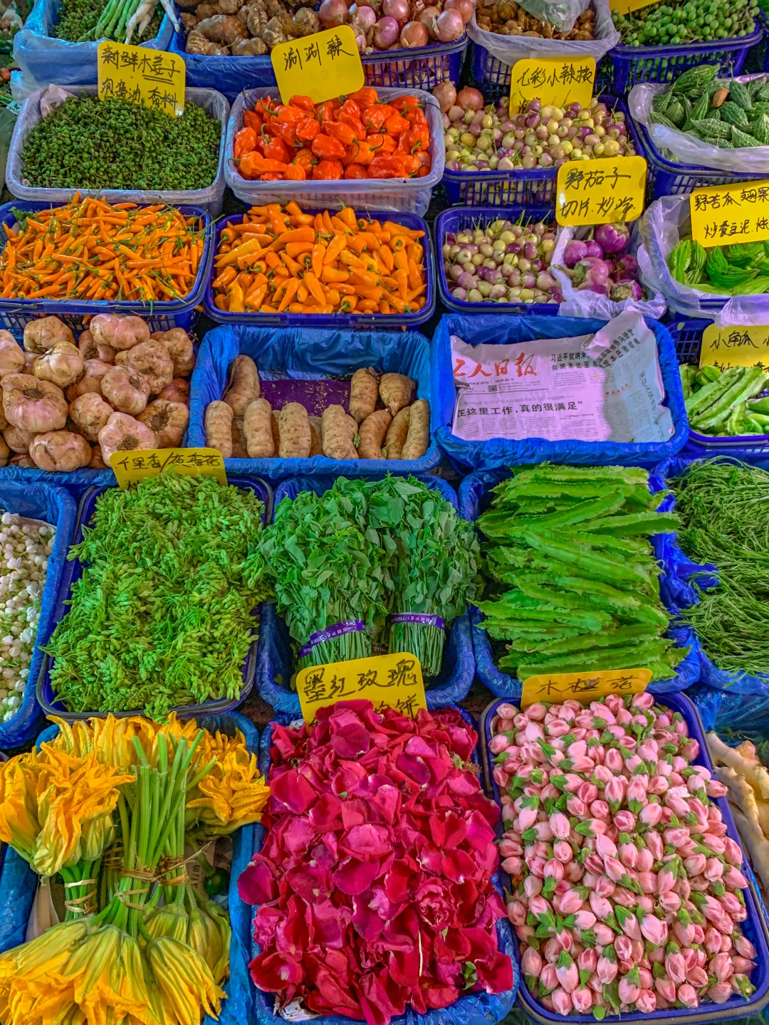 昆明菜市场真的是秋天的色彩美学