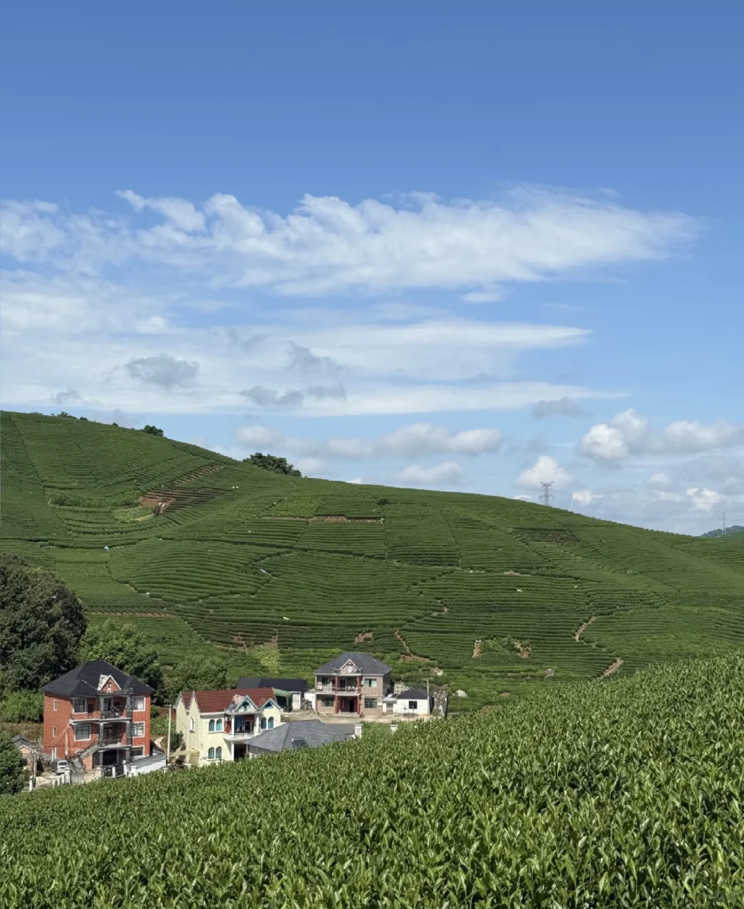 你看不起你的老家，所以你干不好外贸