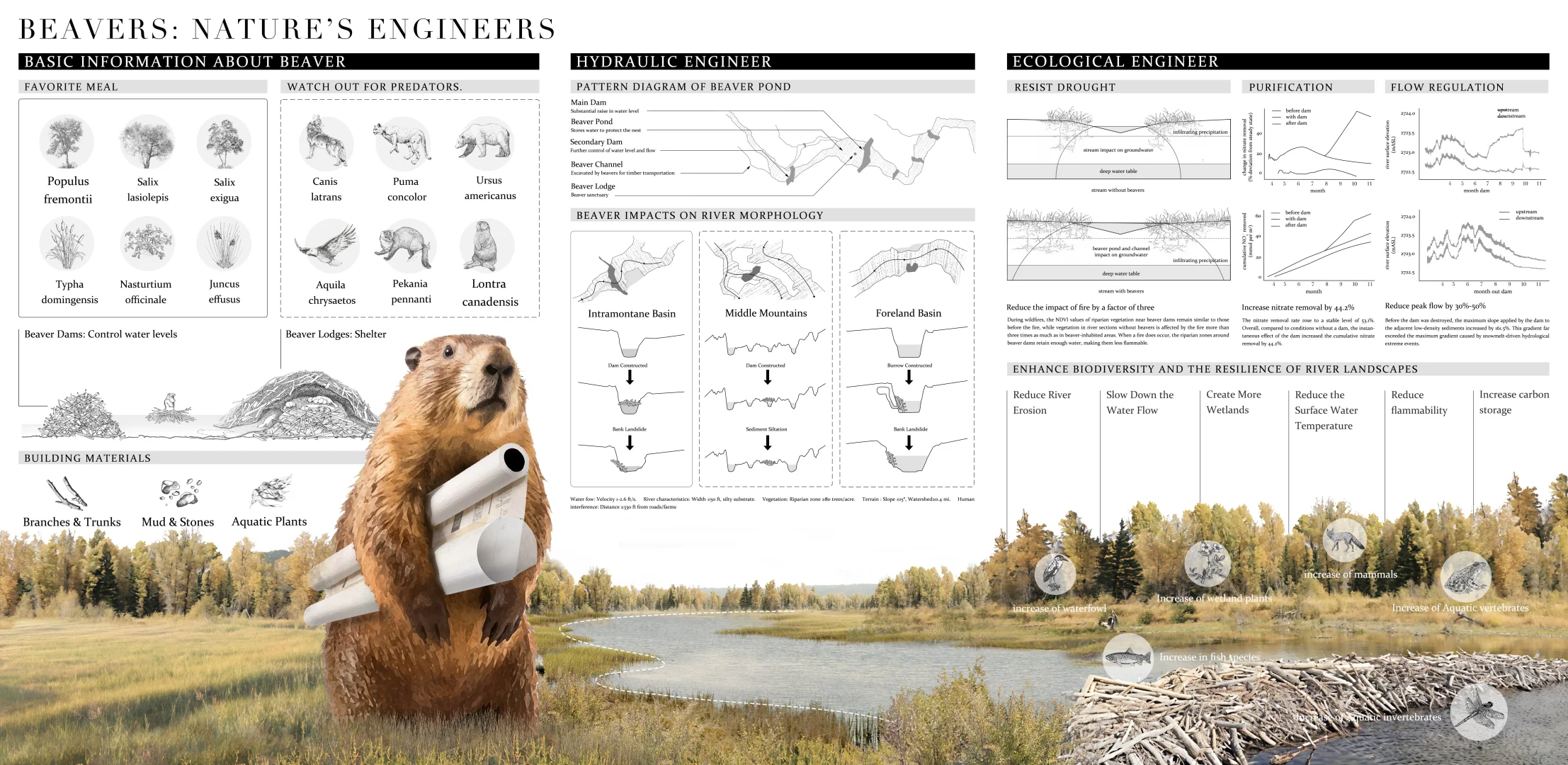 ASLA2025 | 和海狸一起修复地球
