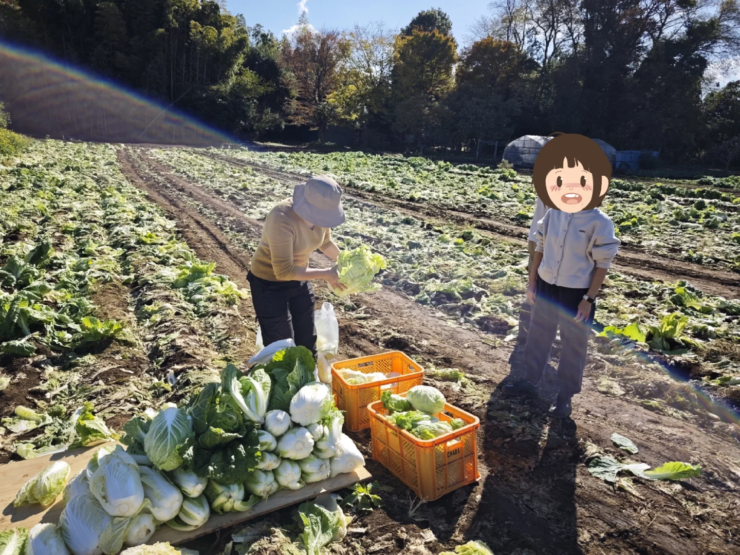 每周末从东京到千叶去自采蔬菜!
