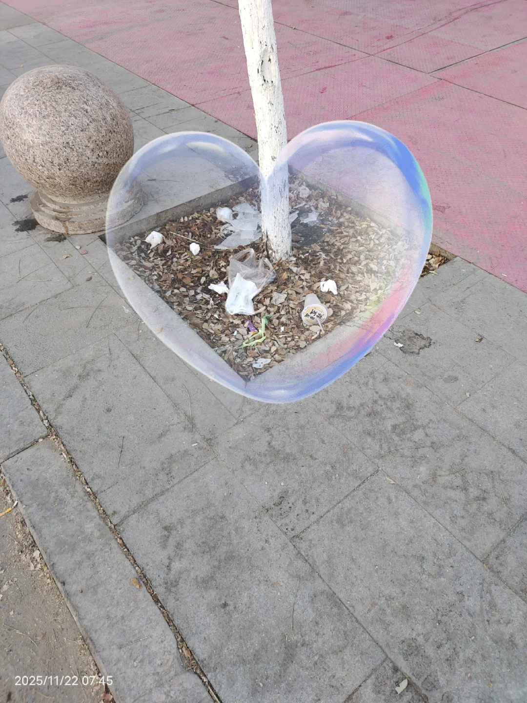 2025.11.22捡垃圾?