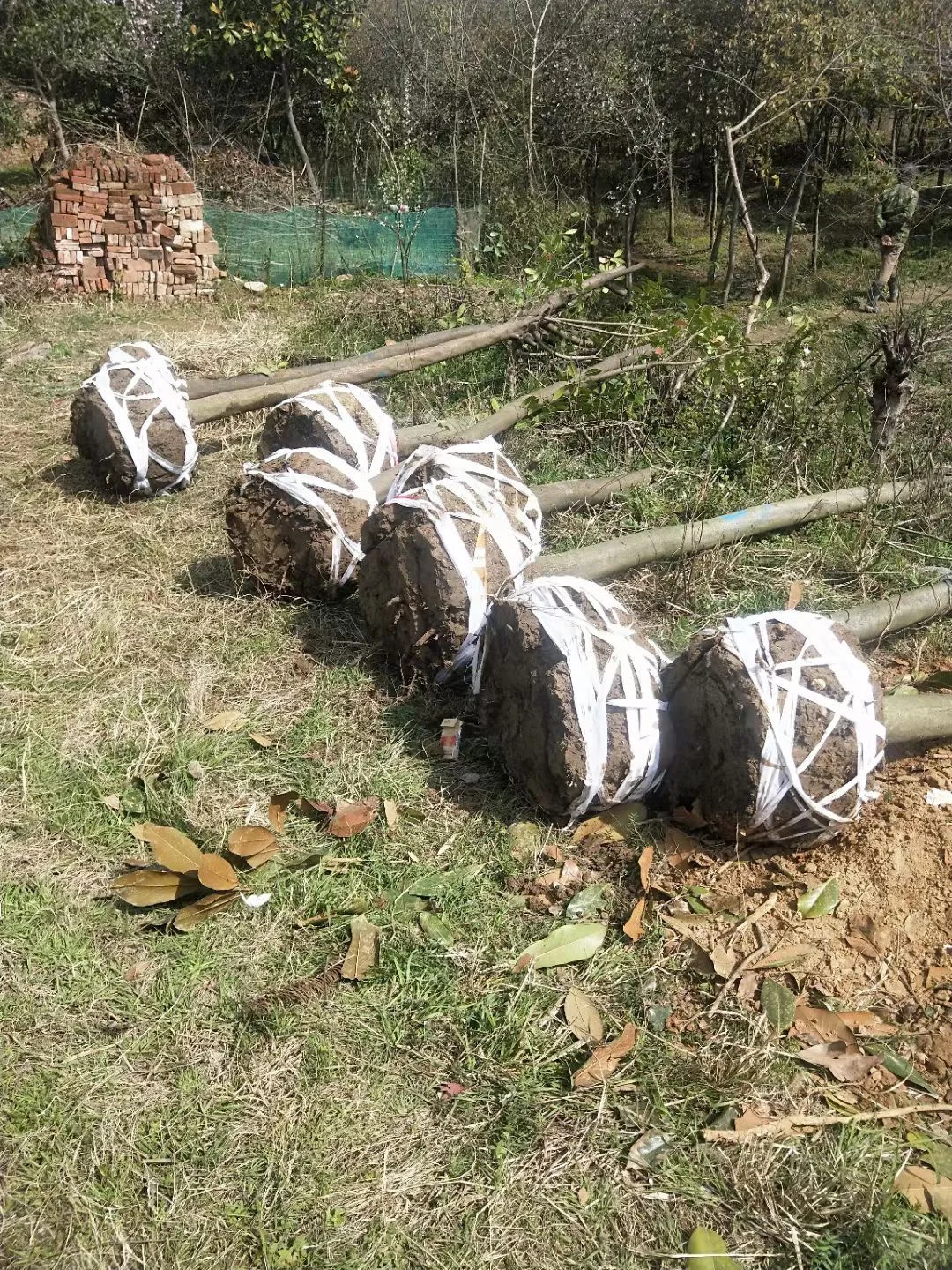 大学生创业 诚心找客户