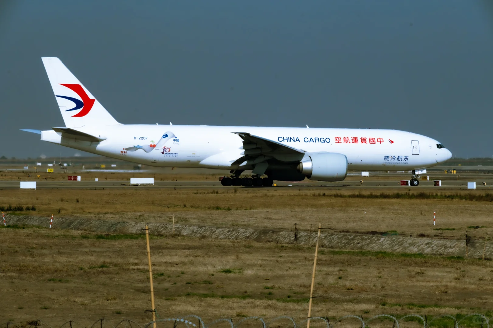 燕衔樱桃入中华