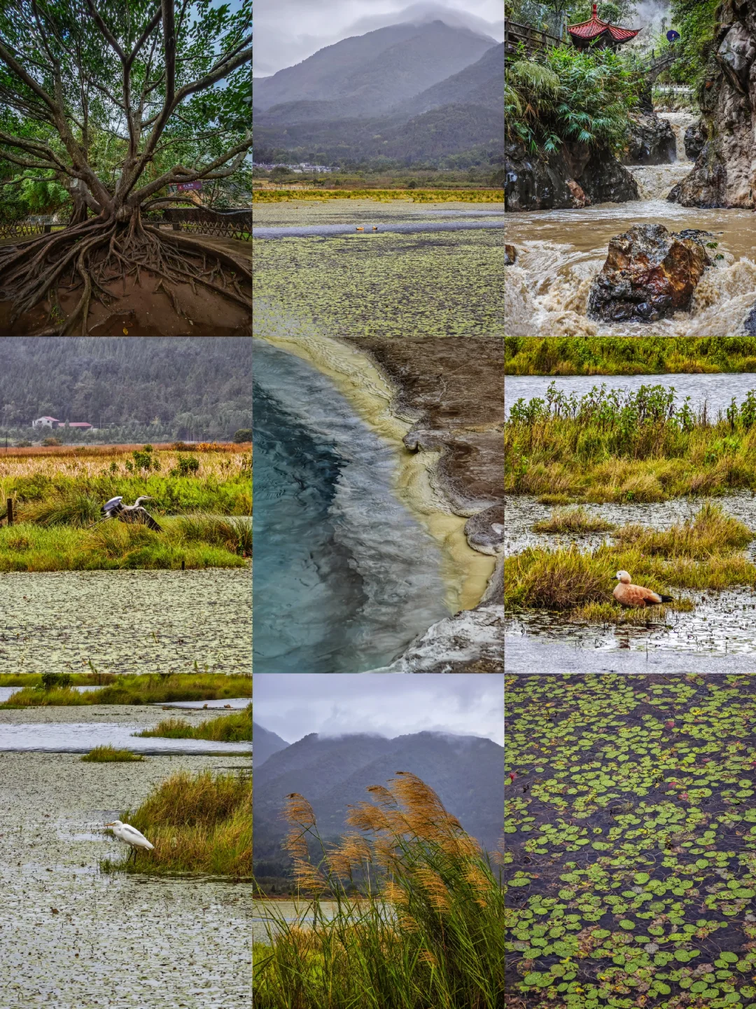 云南之行复盘｜芒市-瑞丽-腾冲路线