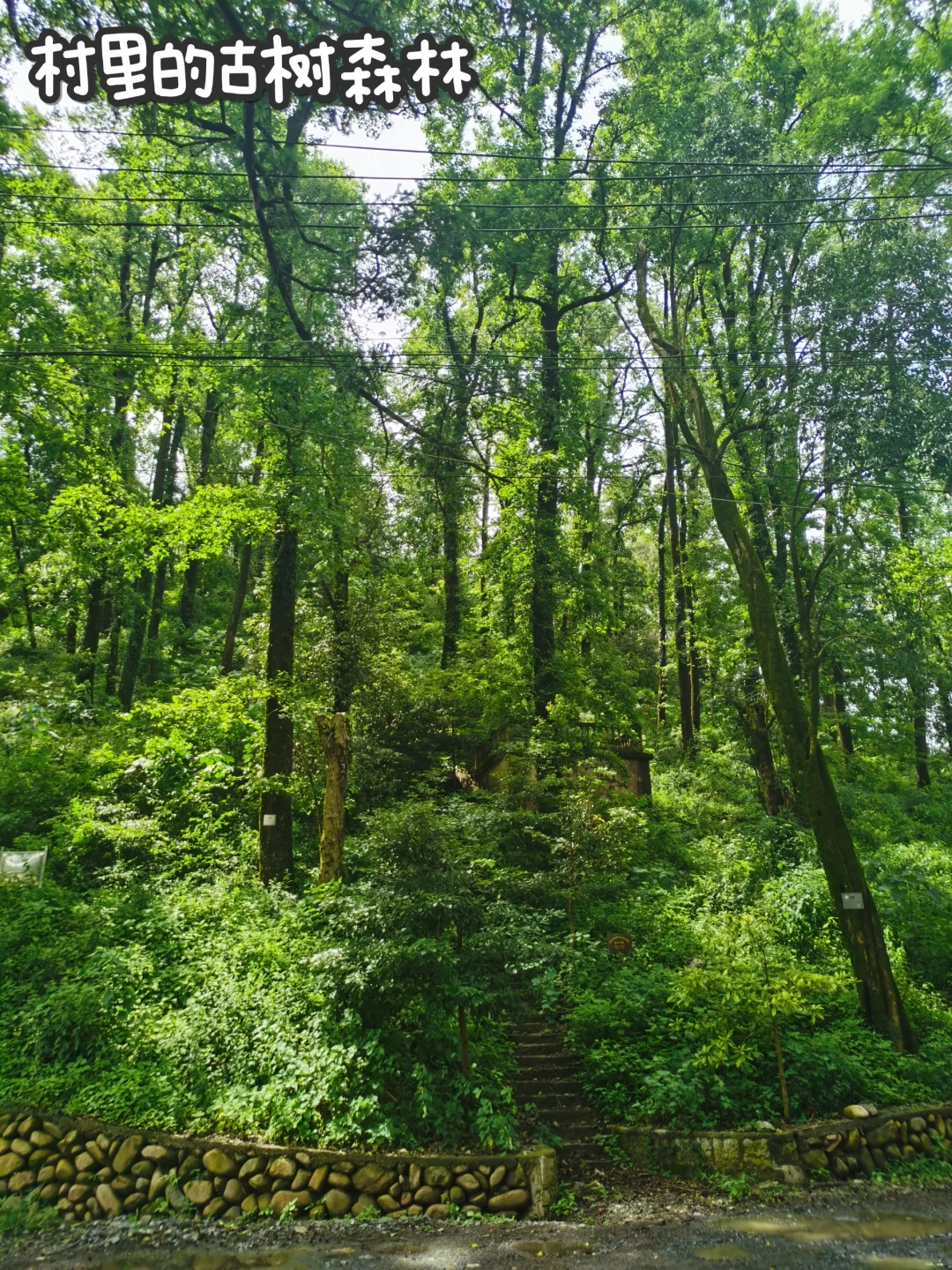 开始运营第一个村子！