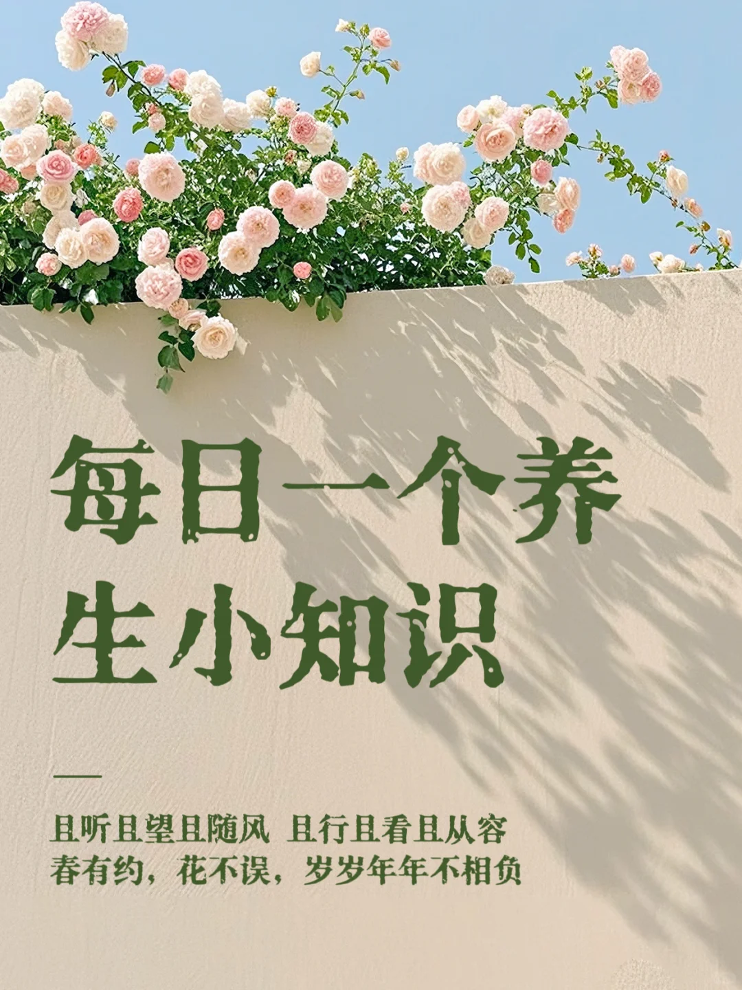 每日养生小知识?慢养人生