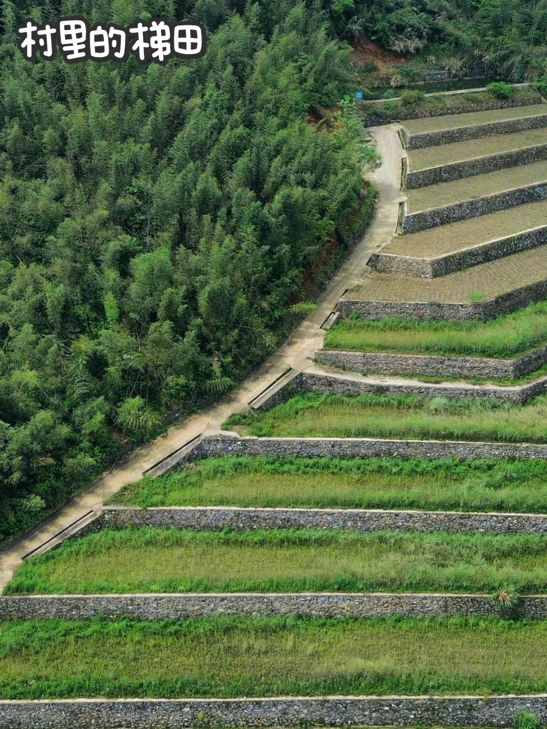 开始运营第一个村子！