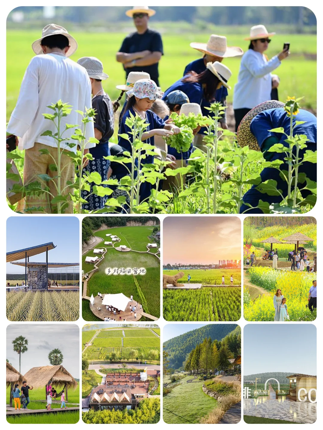 火了很多年的乡村文旅