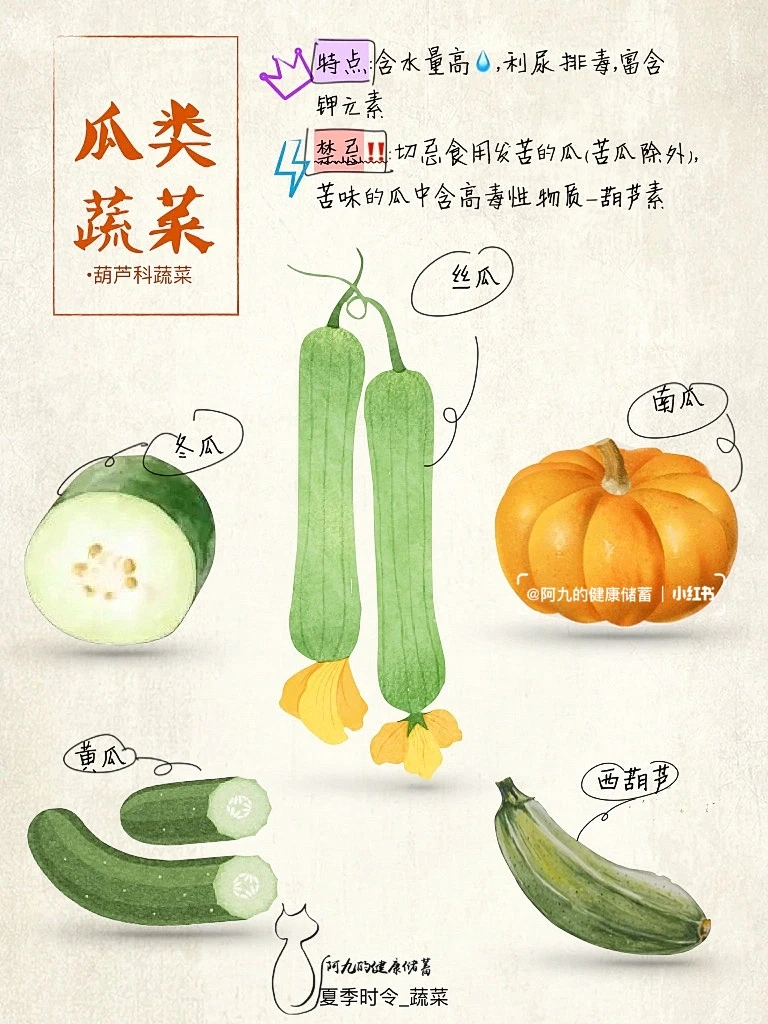 当季蔬菜大全-夏天篇（尾页有彩蛋?）