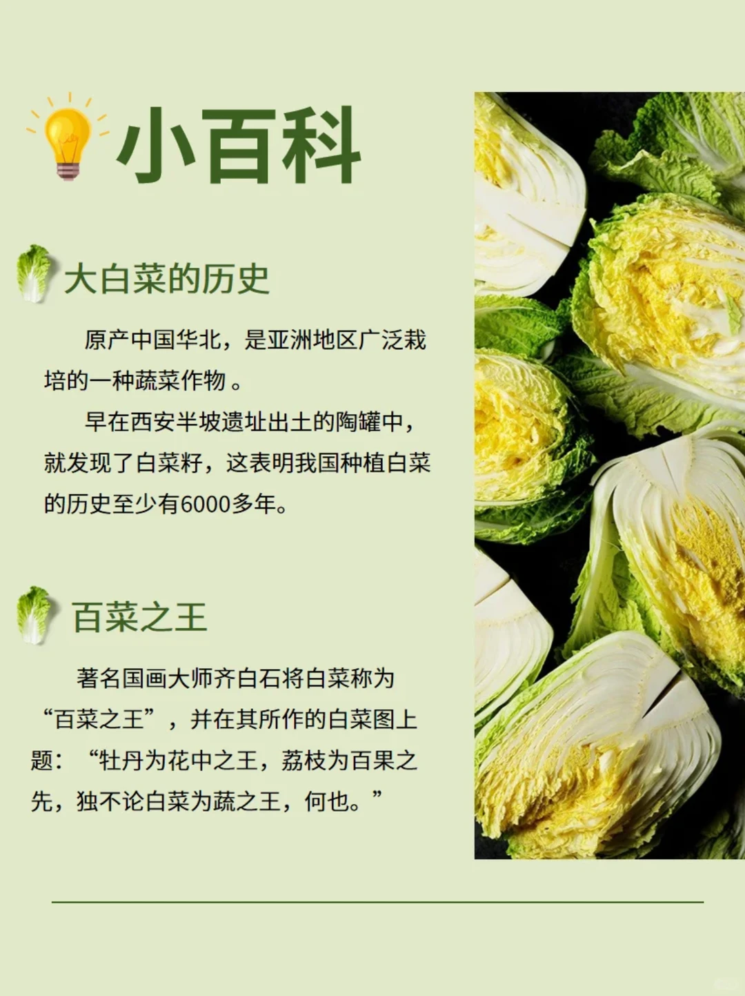 每天认识一种食物 | 百菜之王-白菜