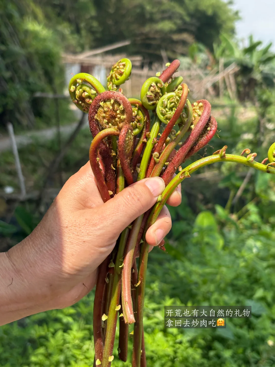 28岁在农村成为一名农场主是怎么样的体验?