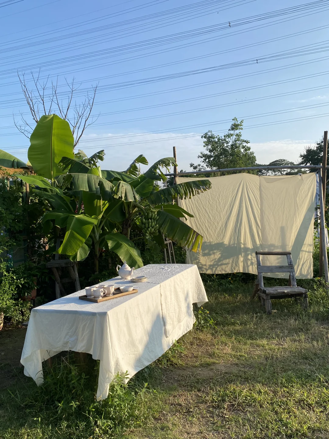 29岁，在广州拥有一个小而美的农场??‍?