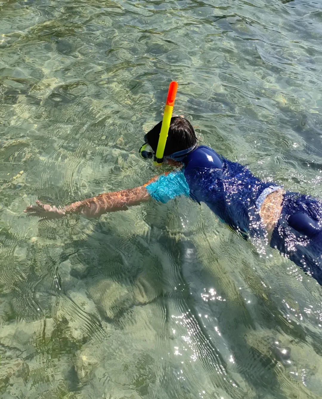 三亚西岛水下摄影！只要98