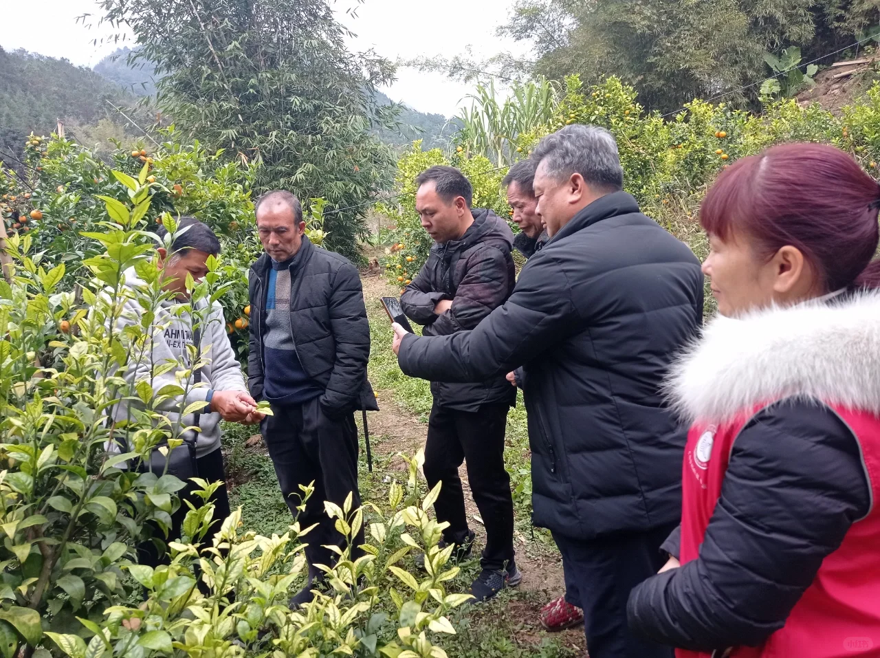田间课堂-交流经验，精进技术