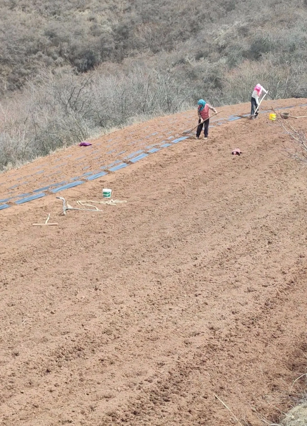读了大学有什么用？还不是回来种地了