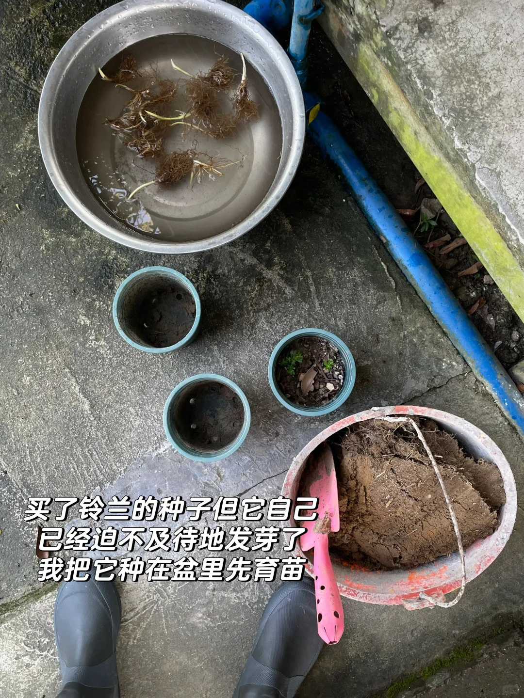 女人真的不能搞农场！