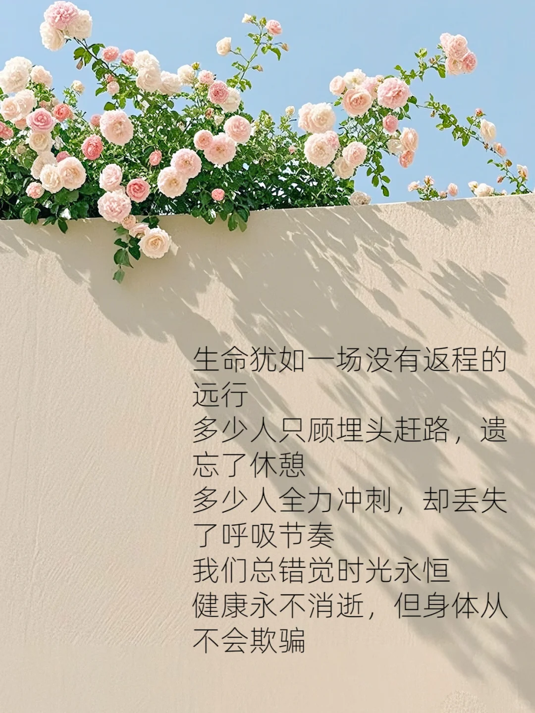 每日养生小知识?慢养人生