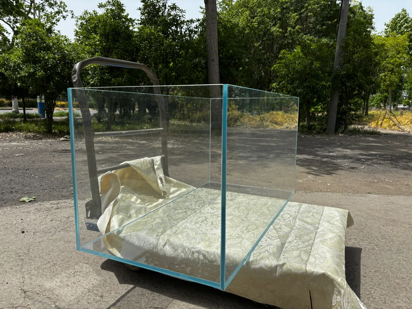 金晶1×50×35特价189