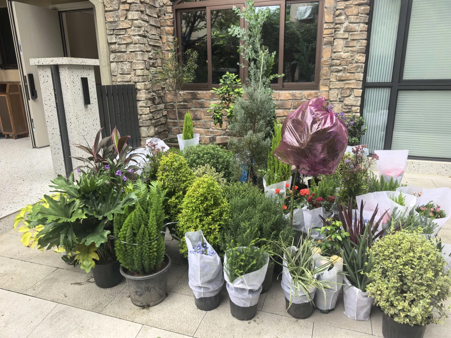 140平的花园，7000元的苗木明细来啦