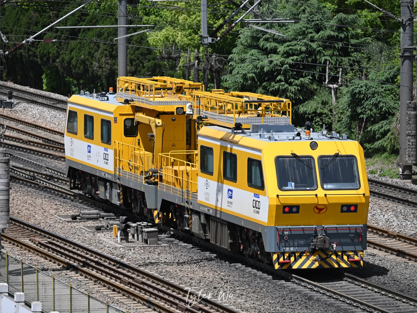 金鹰常有，金温金鹰不常有