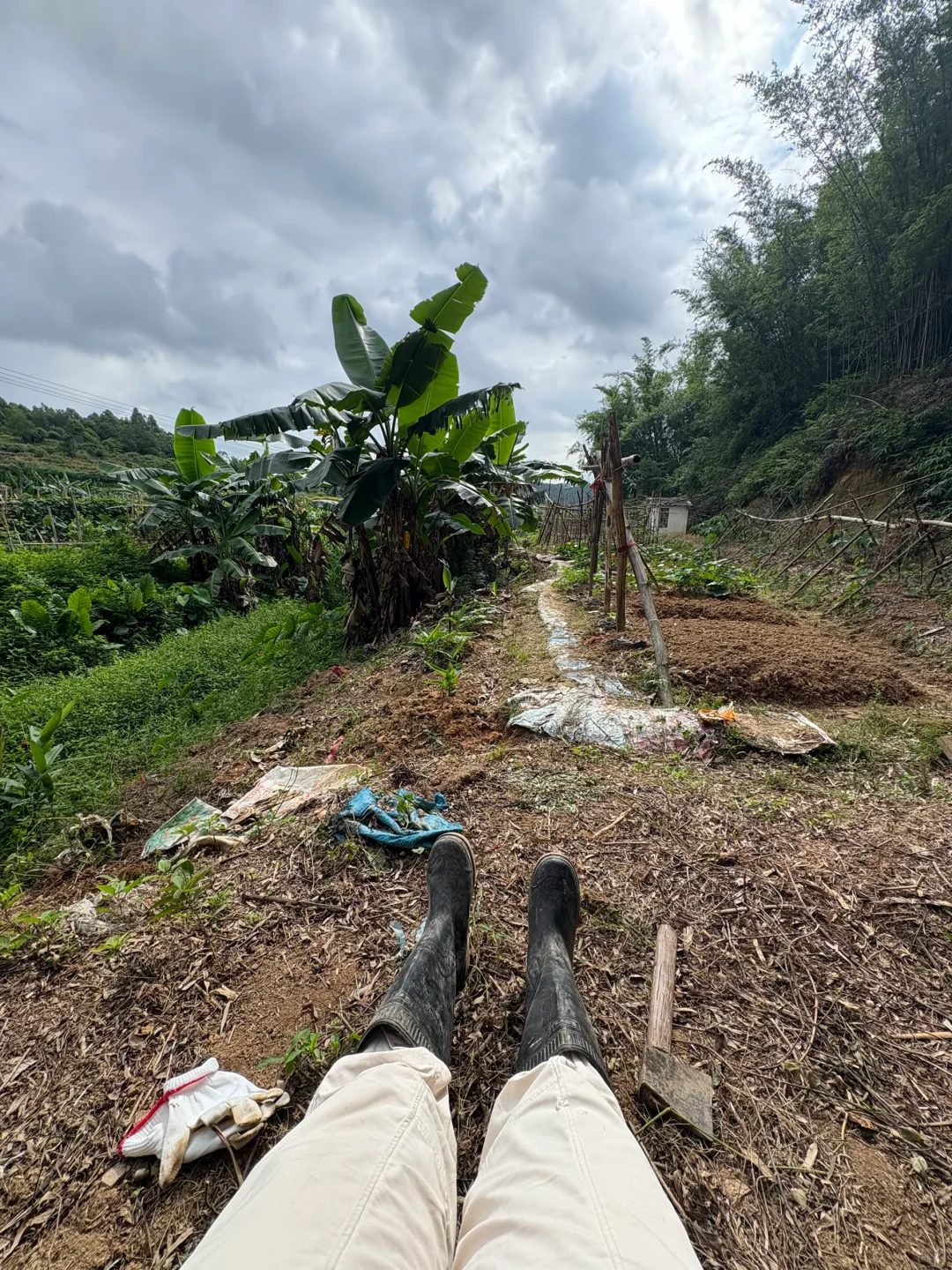 28岁在农村成为一名农场主是怎么样的体验?