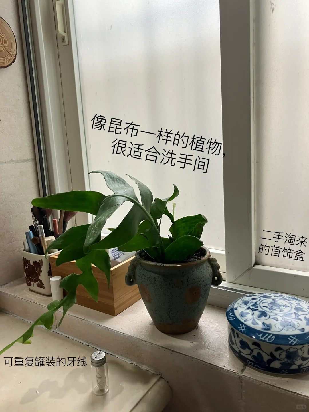 环保主义，家里是什么样子的？??