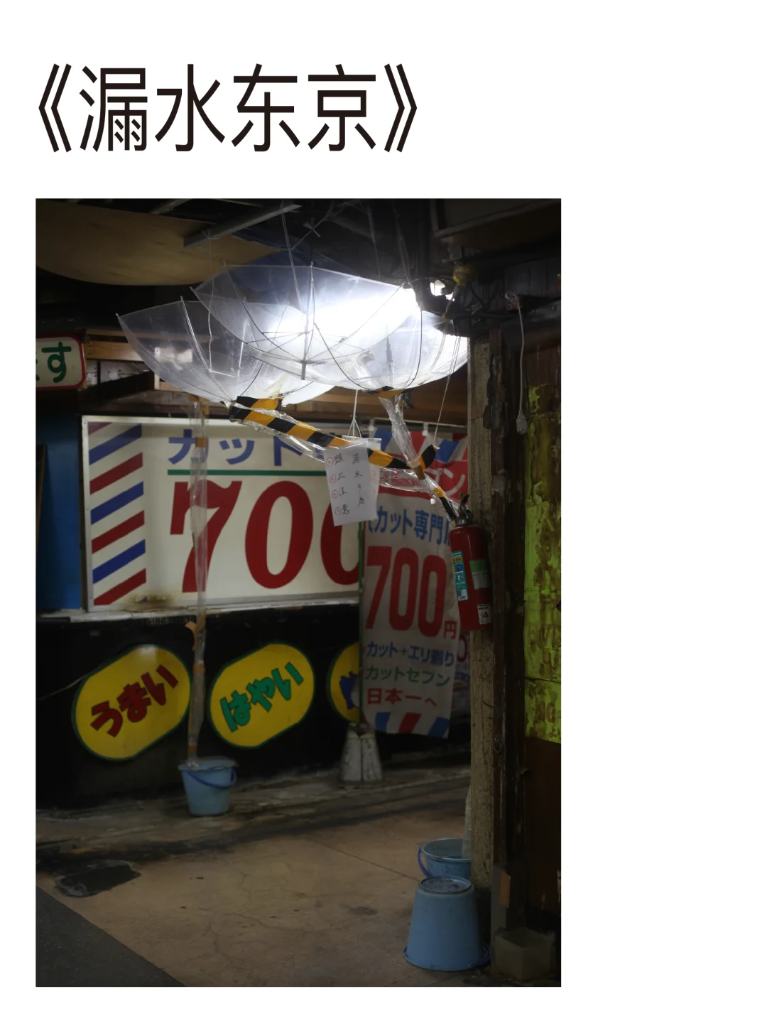 毛利悠子｜?Moré Moré Tokyo