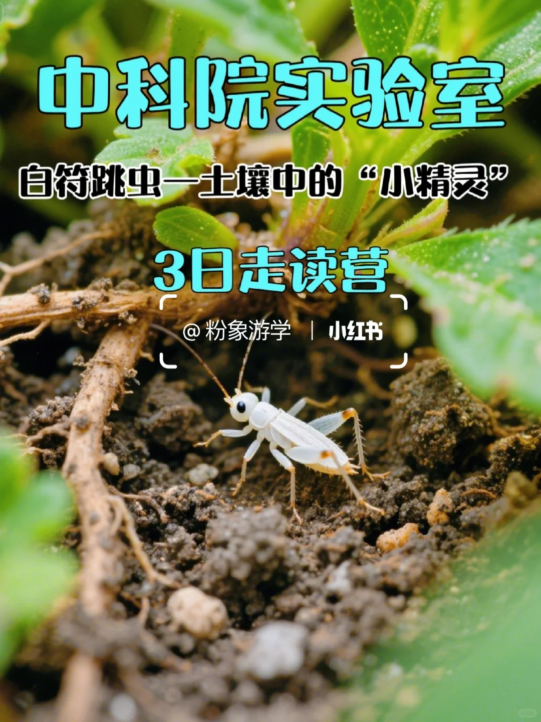 ?中科院研学活动9～10月主题活动合集