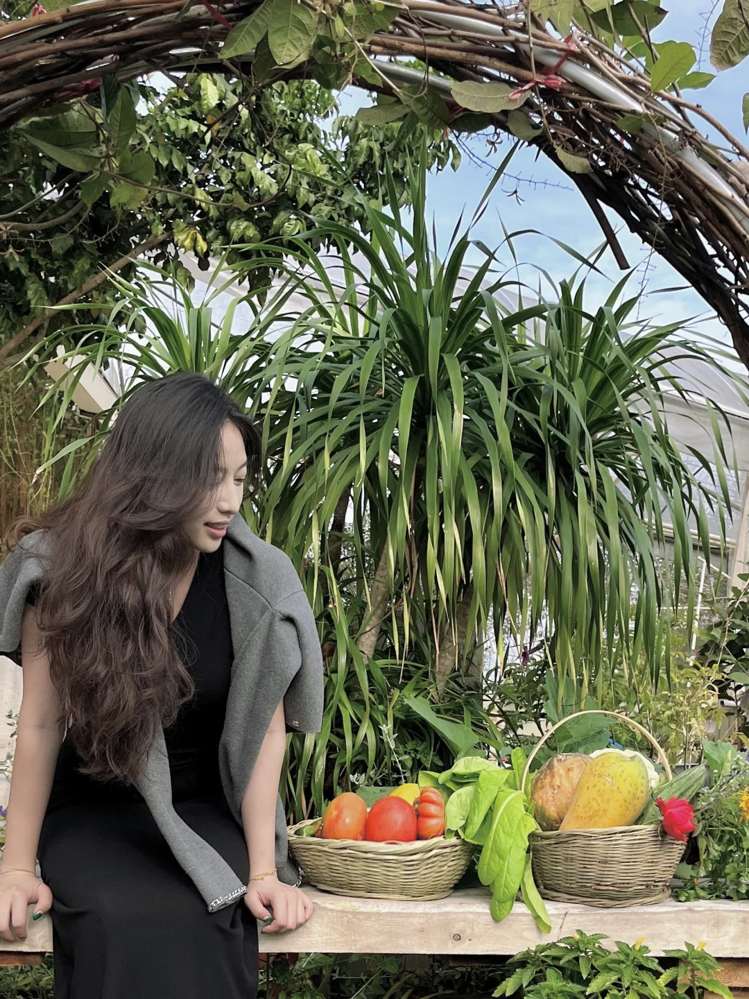 28岁不上班，在中山包了200亩地种菜?