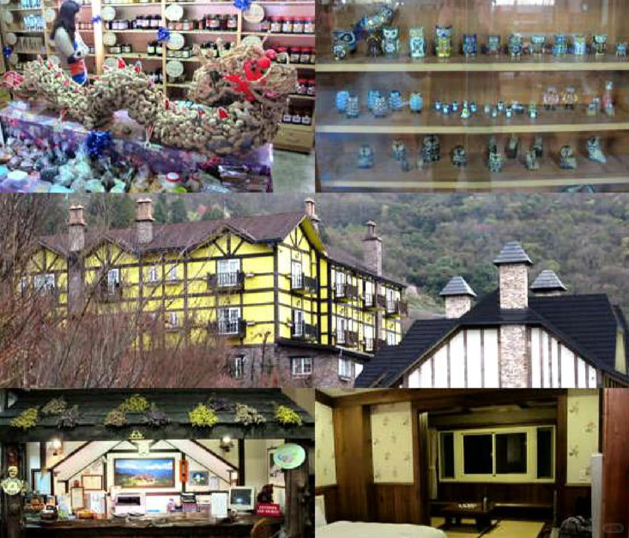 朝阳行业一乡村旅游